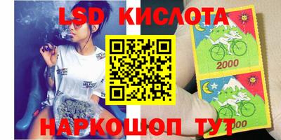 СК Кимры