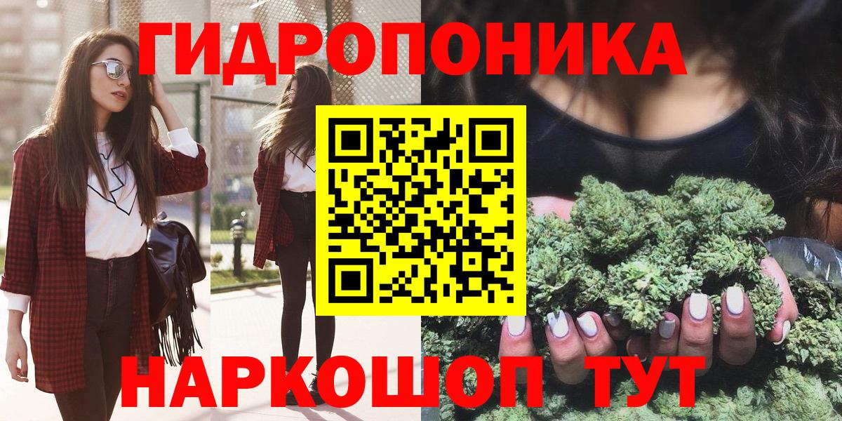 Бошки Шишки сатива Красноармейск
